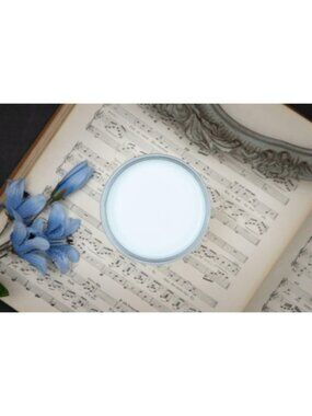 New Sealed Haint Blue Dixie Belle Chalk Mineral Paint 8oz